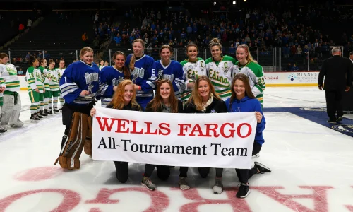 2018-19 Girls Hockey Class AA All-Tournament Team Names of team members Photo Credit: MN Prep Photo