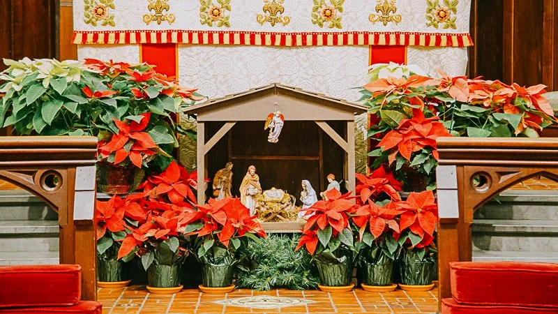 Christmas Flower Banner.jpg