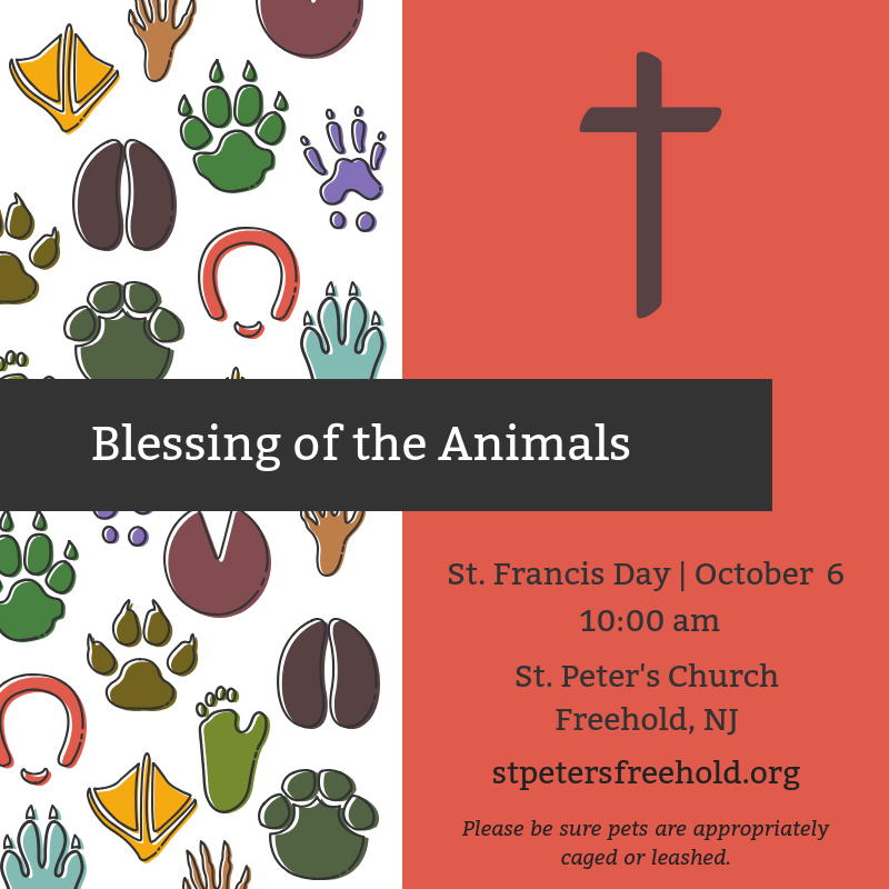 Blessing of the Animals on St. Francis