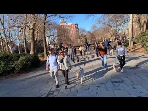 First Canine Cohen Club Group Walk & Train of 2020