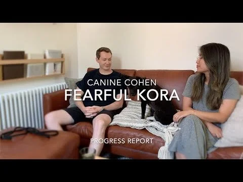 Canine Cohen: Kora's Progress Interview