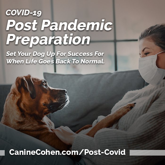 CC_Post_Pandemic_Preparation_700x700_FINAL.jpg