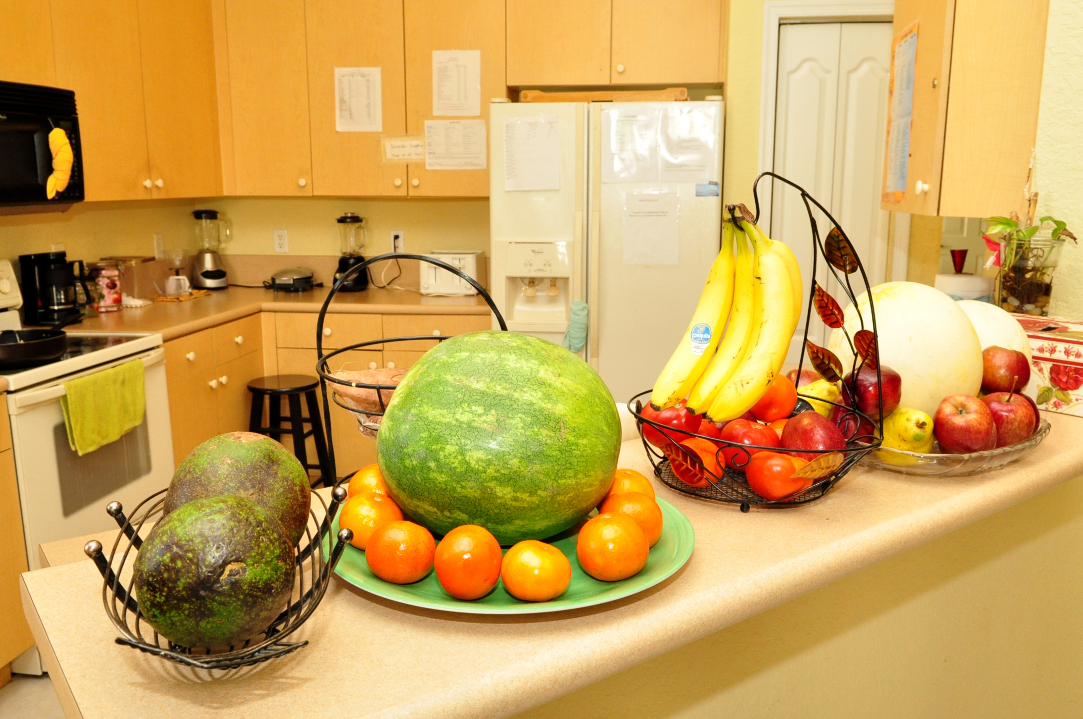 Fruit Display in Kitchen.jpg