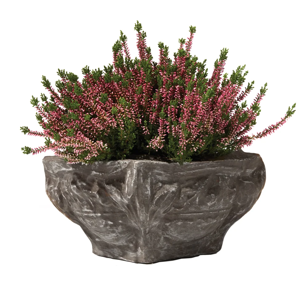Cecily Planter