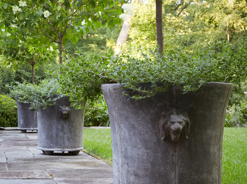 lion planter.jpg