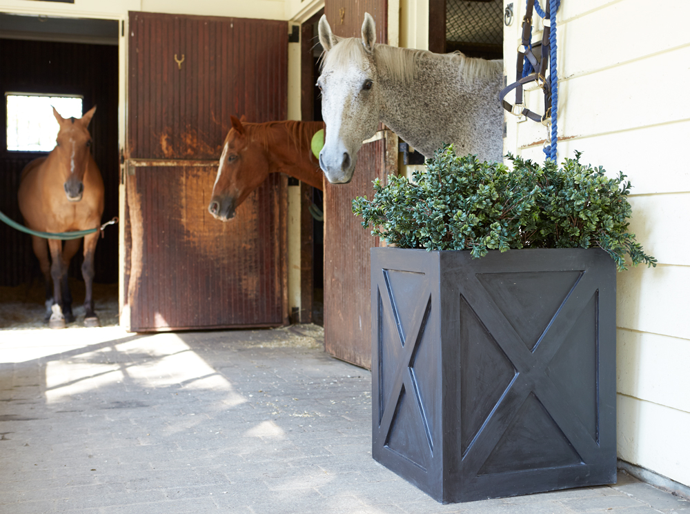 dutch door planter in stable.jpg