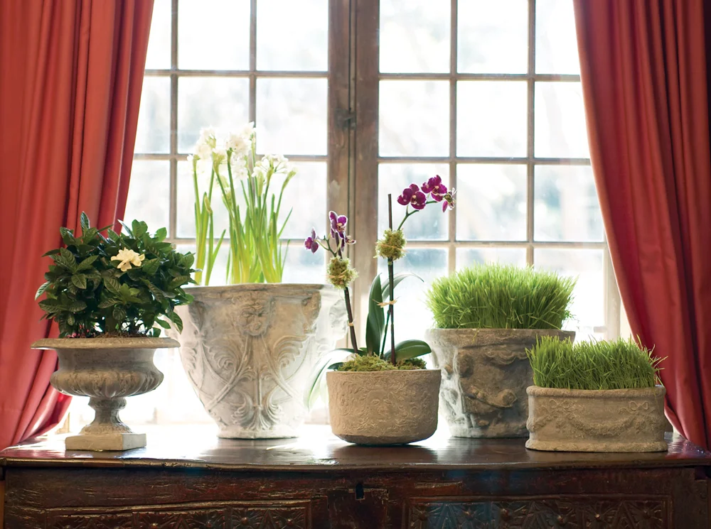cecilys windowsill.jpg