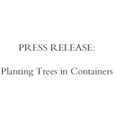 Planting trees in a container.jpg