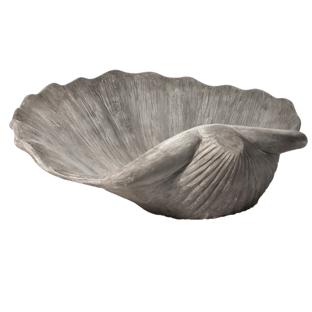 Botticelli Shell