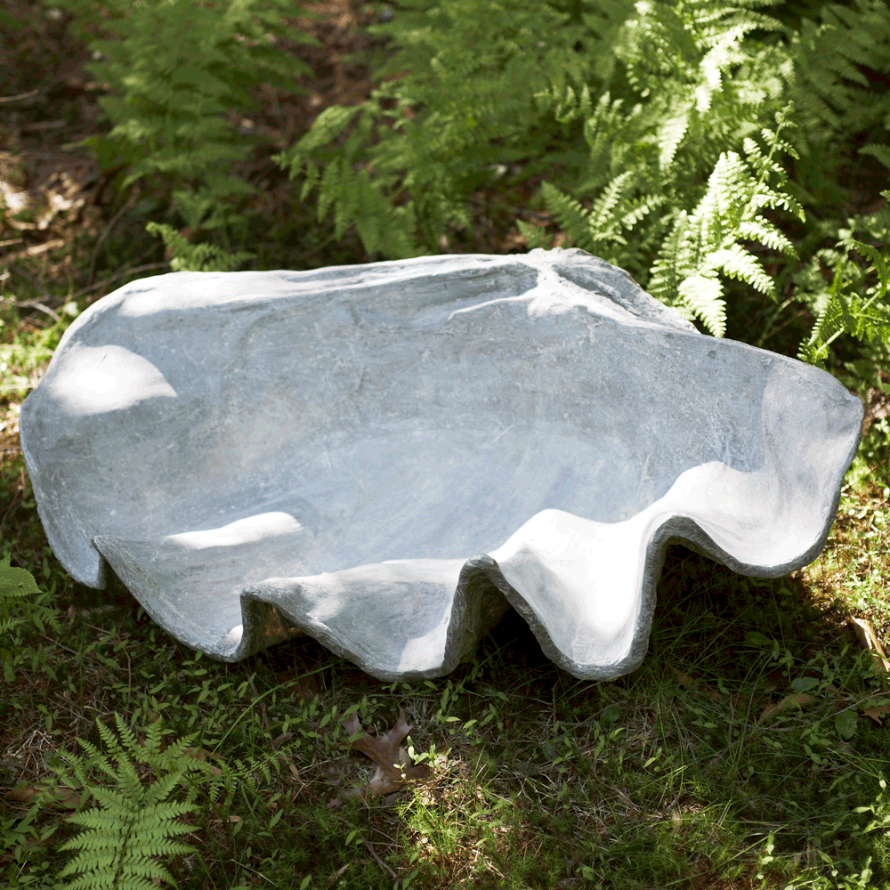 Shell Planter