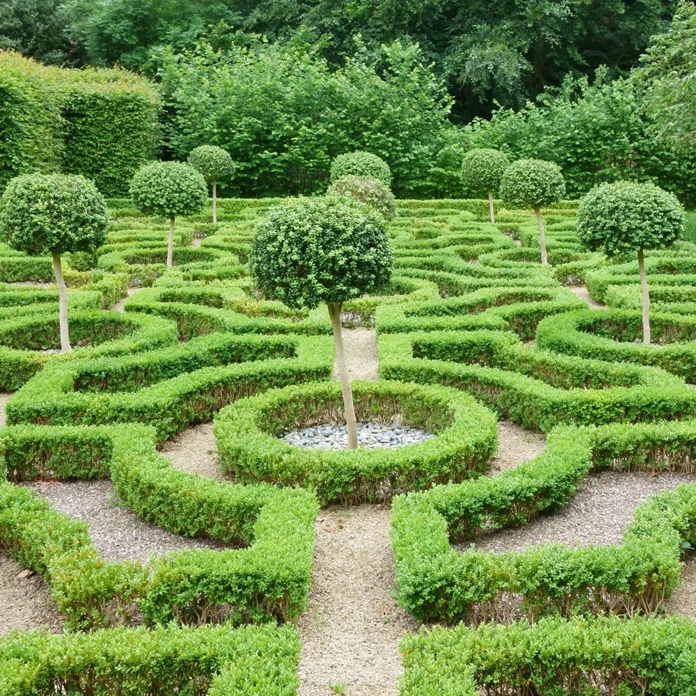 knot garden photo.jpg
