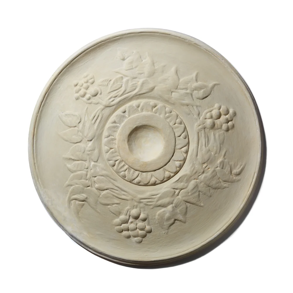 Swedish Concords Ceiling Medallion.jpg
