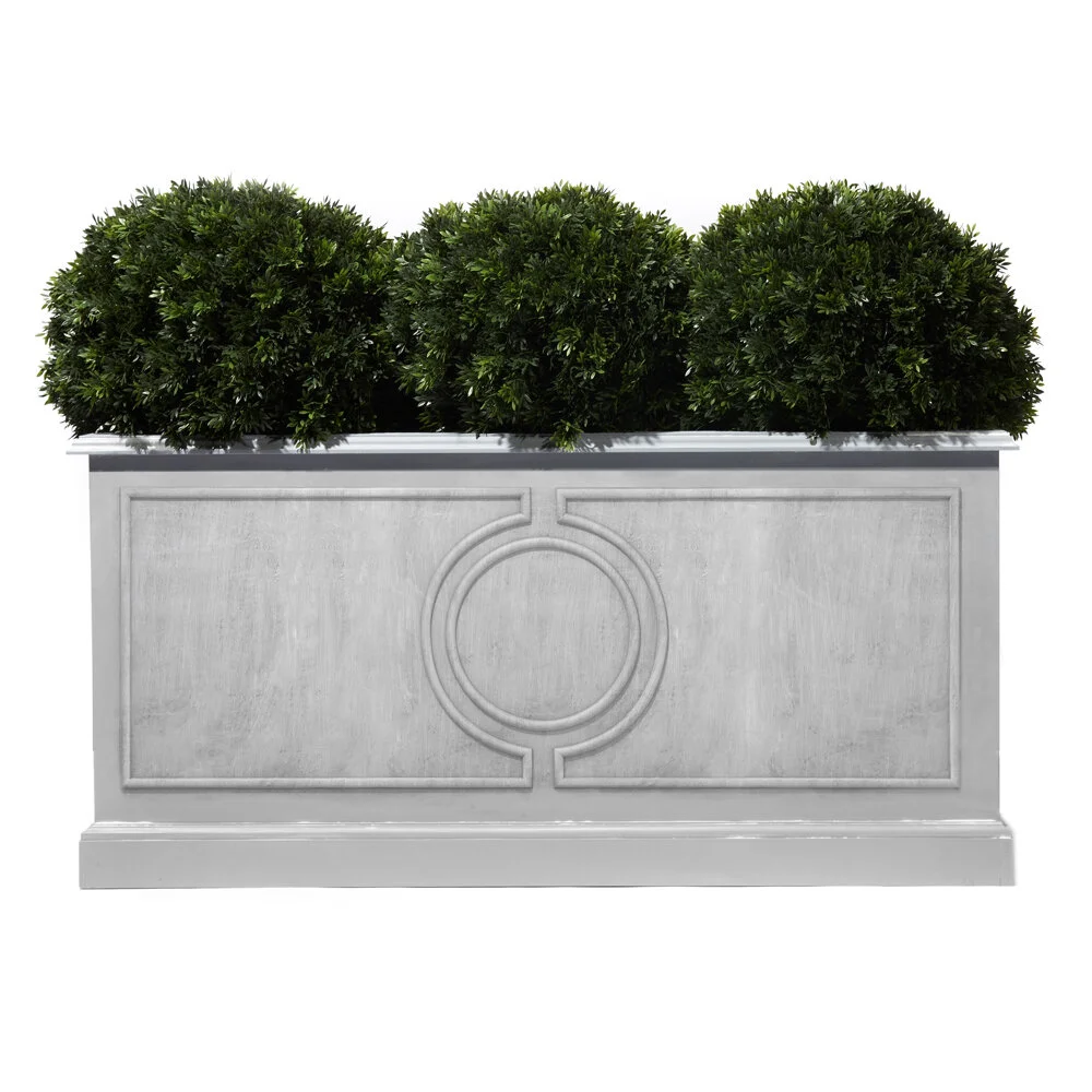 6 in plant pot ZZ Plant, 6” grower's pot – Botanologica