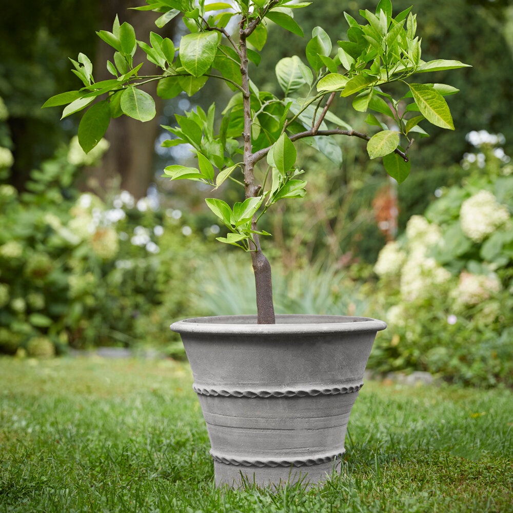 Grecian Planter Small in situ.jpg