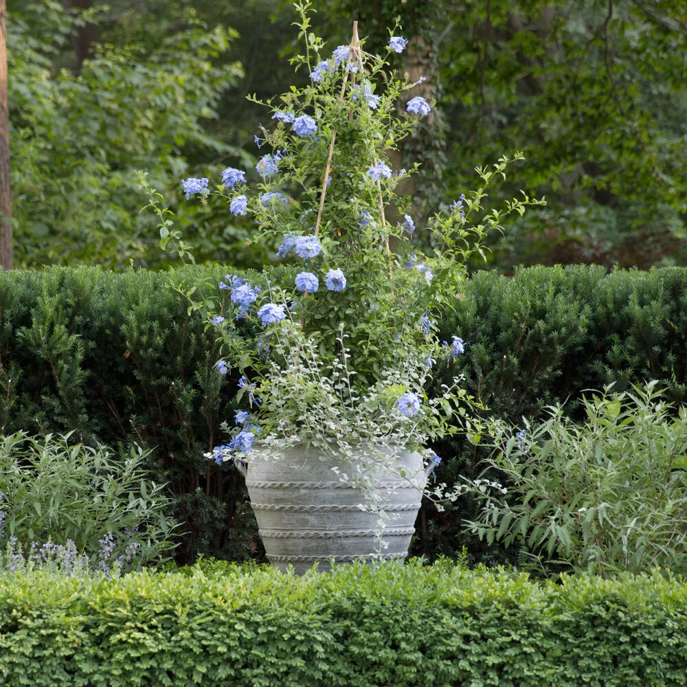 Greciain Urn Large in situ.jpg