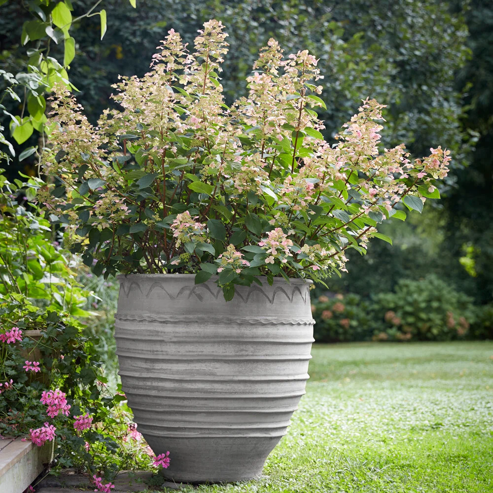 Grecian Planter xLarge in situ.jpg