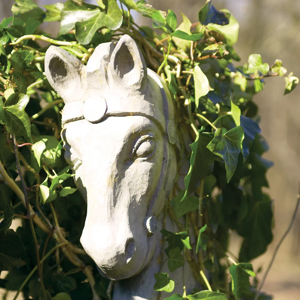horse head in situ.jpg