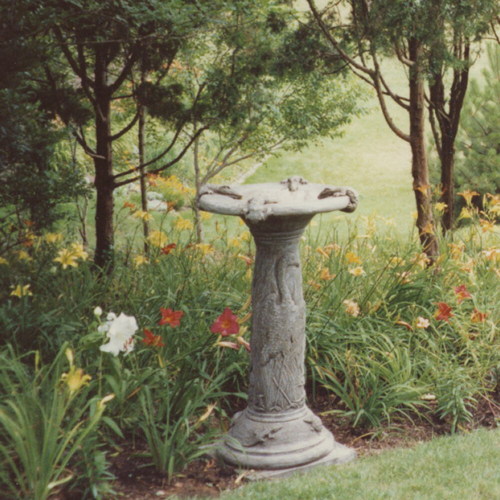 alligator bath in situ.jpg