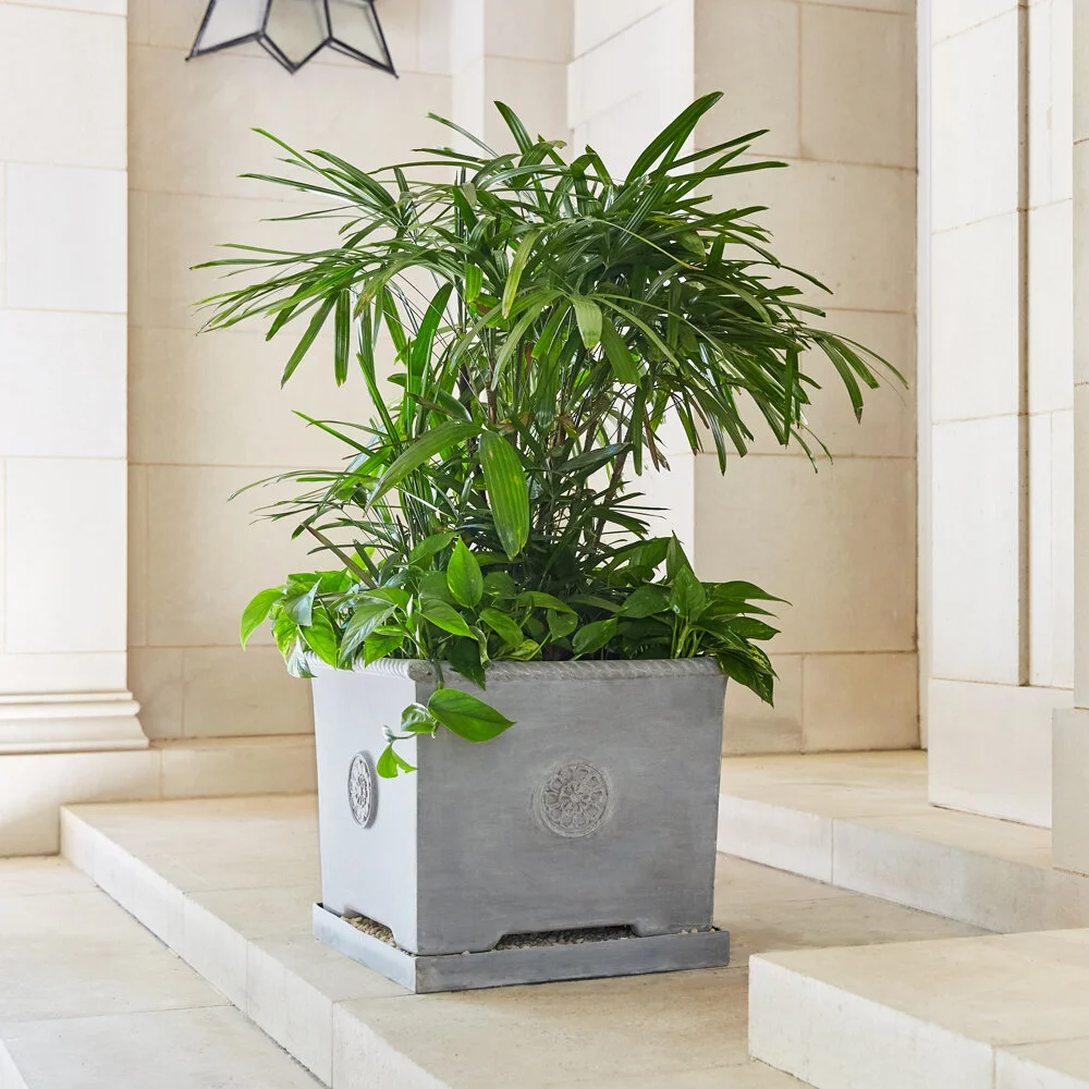 Florentine Square Planter - Small & Medium  Pennoyer Newman