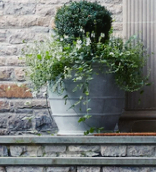 Conical Strapped Egg Cup Planter — Pennoyer Newman.jpeg