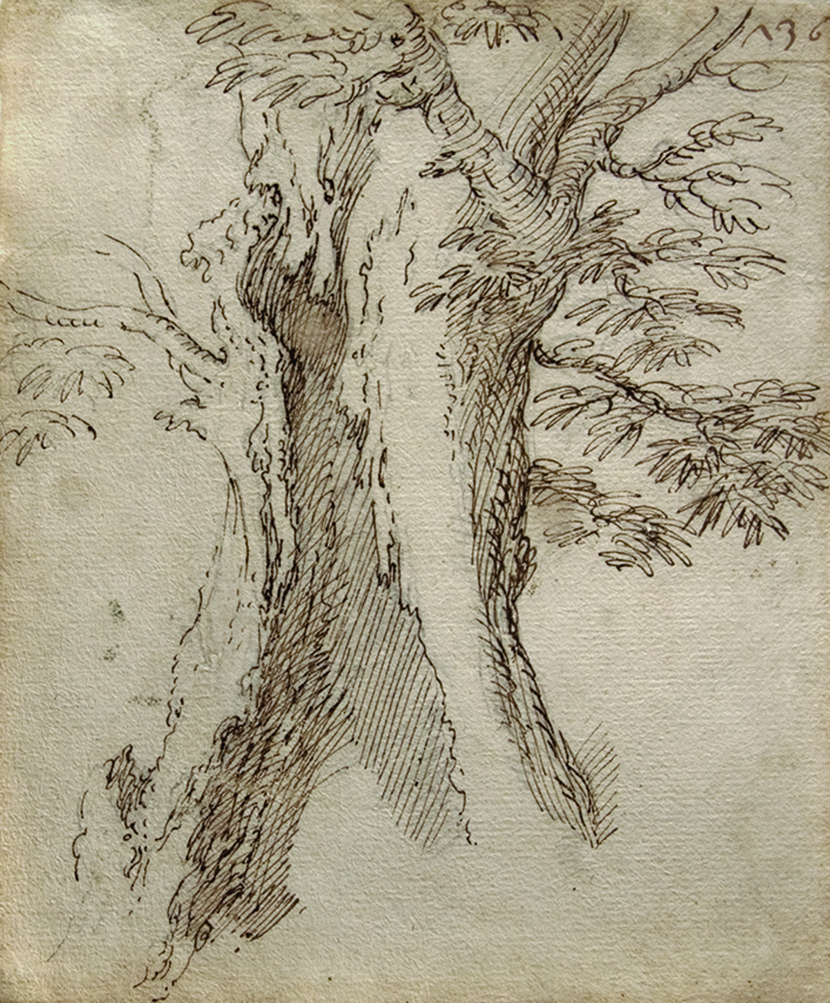 SALVATOR ROSA