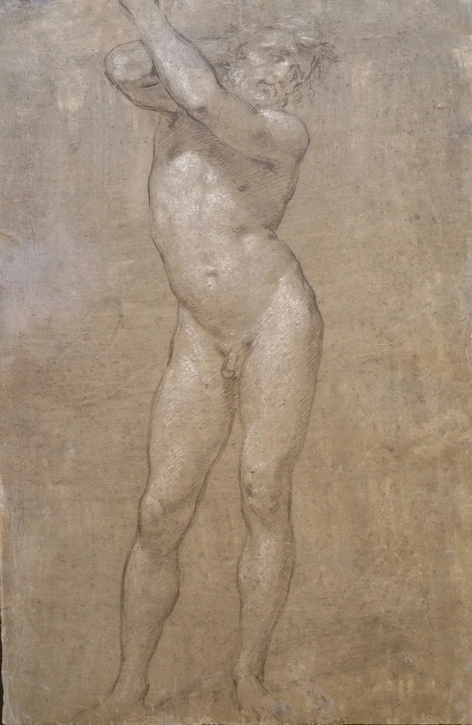 Florentine School, 16th Century