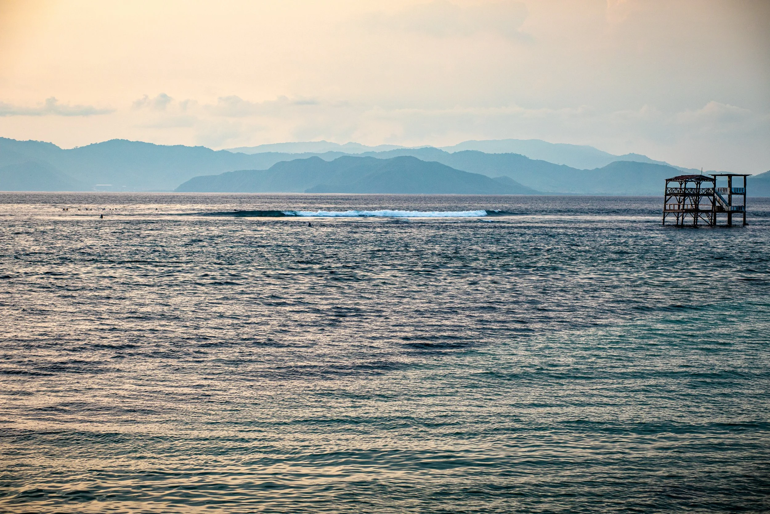 _46A7219.jpg