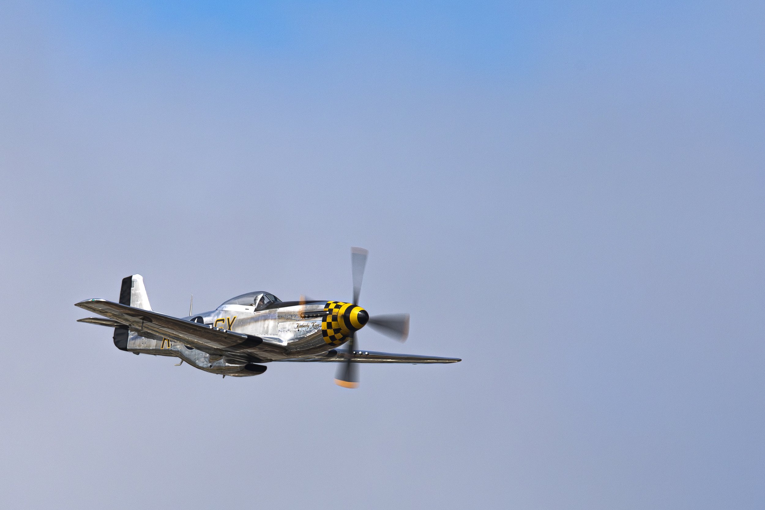 _46A4150.jpg