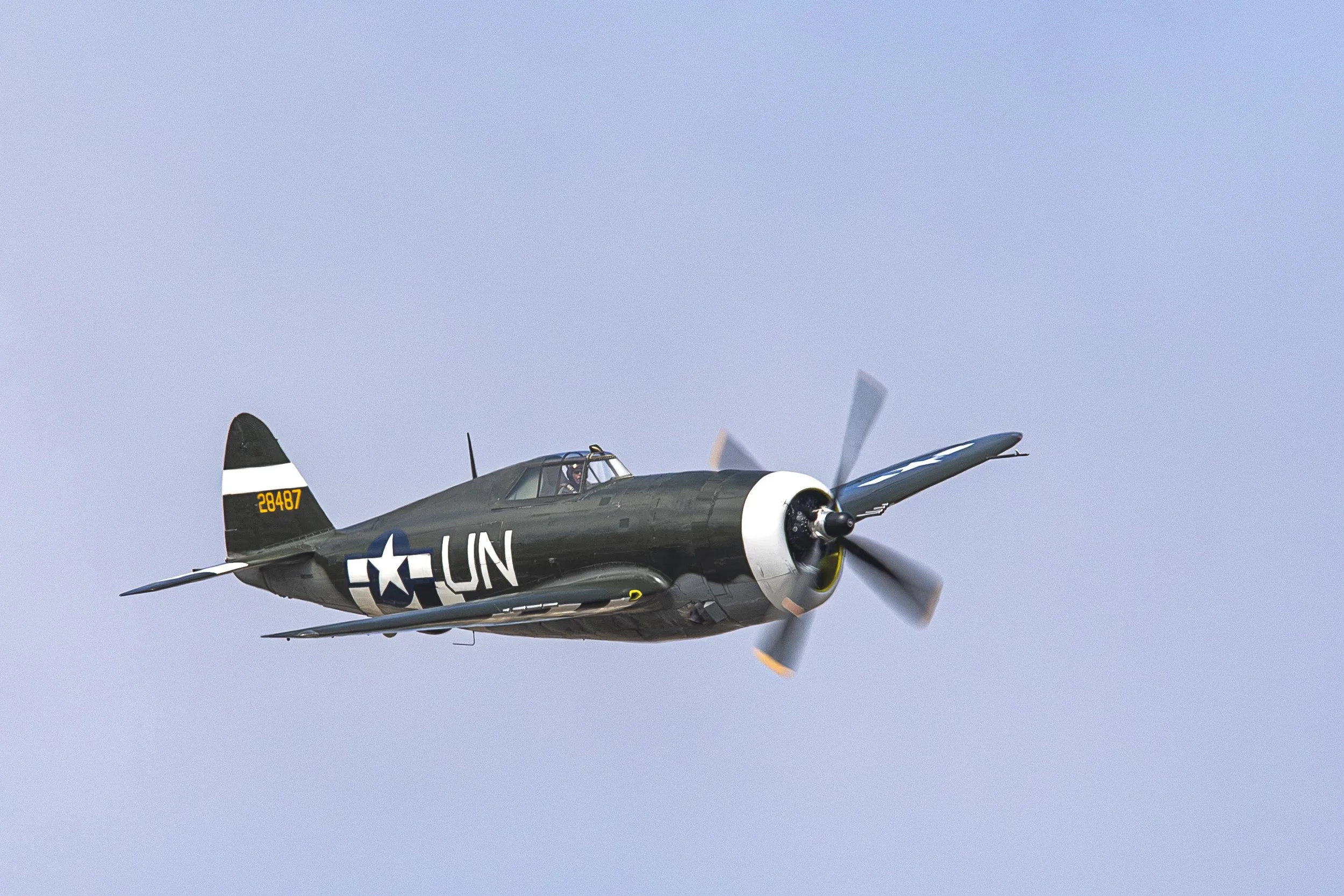 _46A4160.jpg