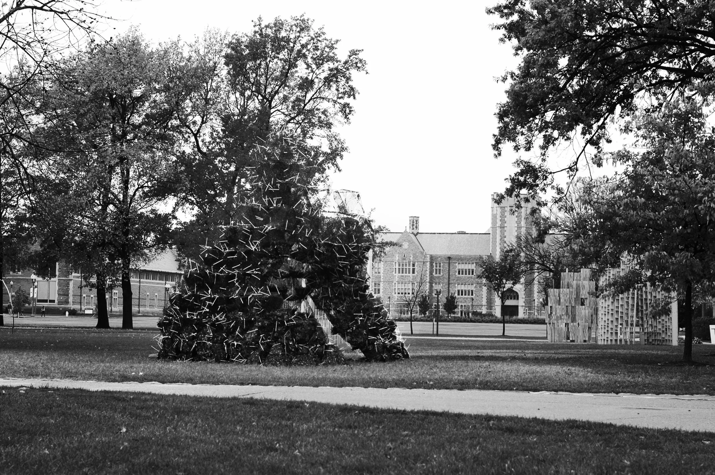 Banner Sukkah.jpg