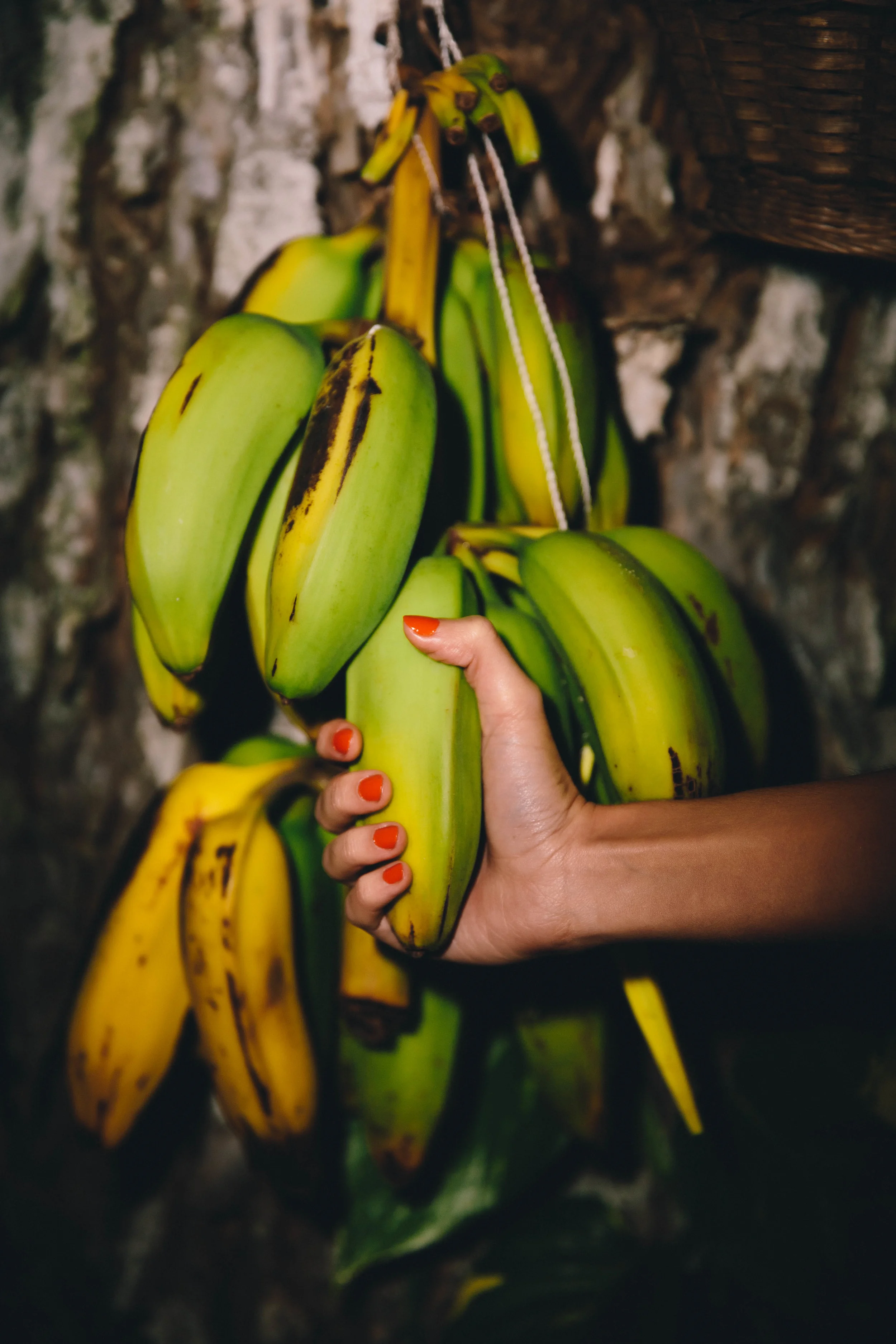 _MG_9363-Edit.jpg