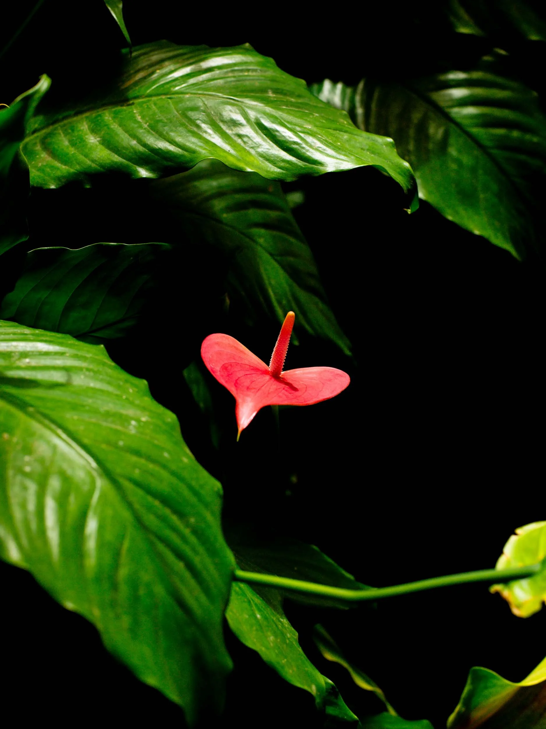 B0000910-Edit.jpg