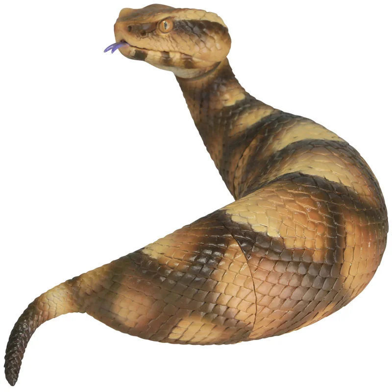 TSUCHINOKOtoyboxSofubiD.jpg
