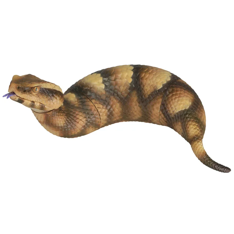 TSUCHINOKOToyboxSofubiB.jpg