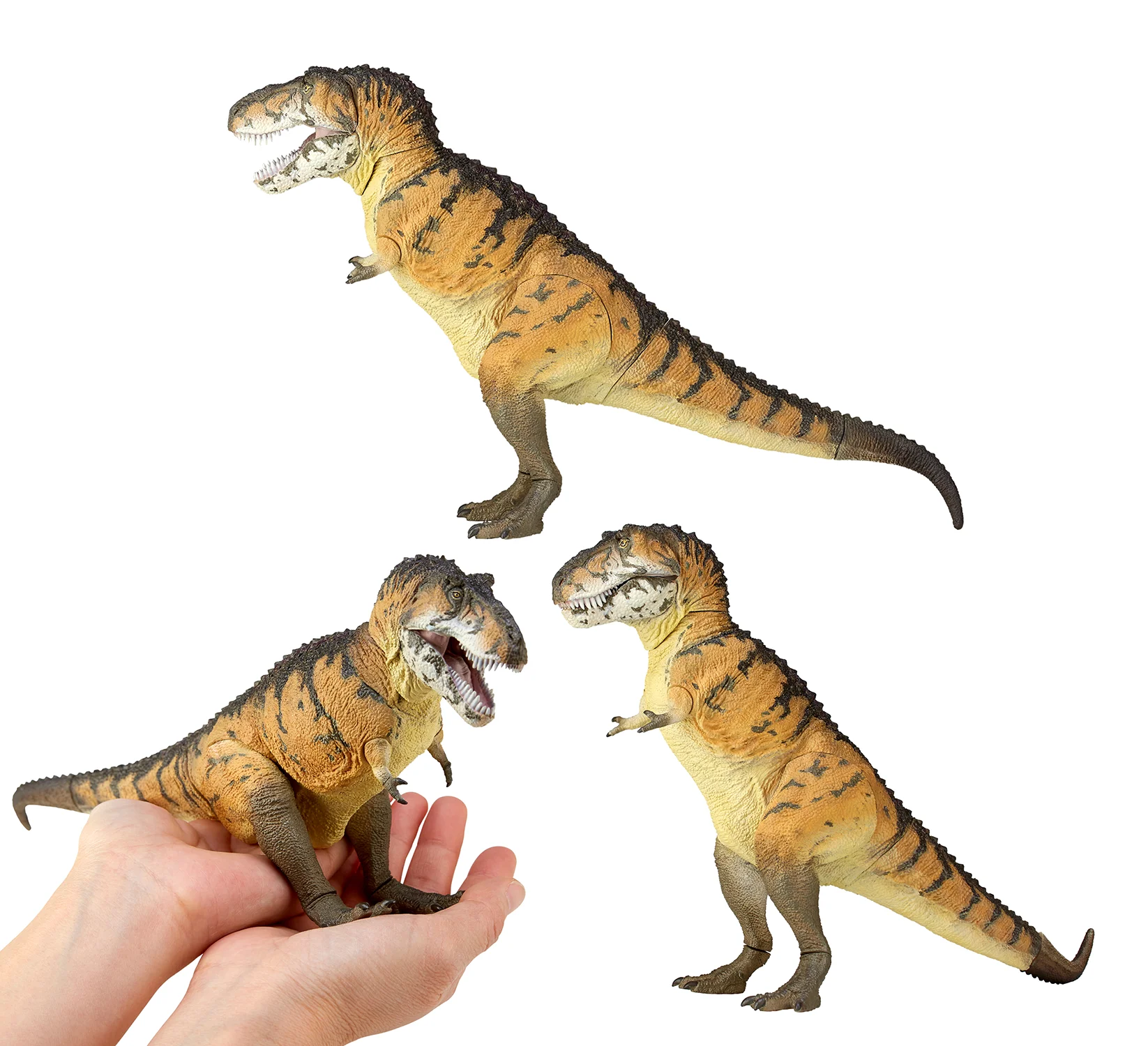 ToboySofubiT-rexA.jpg