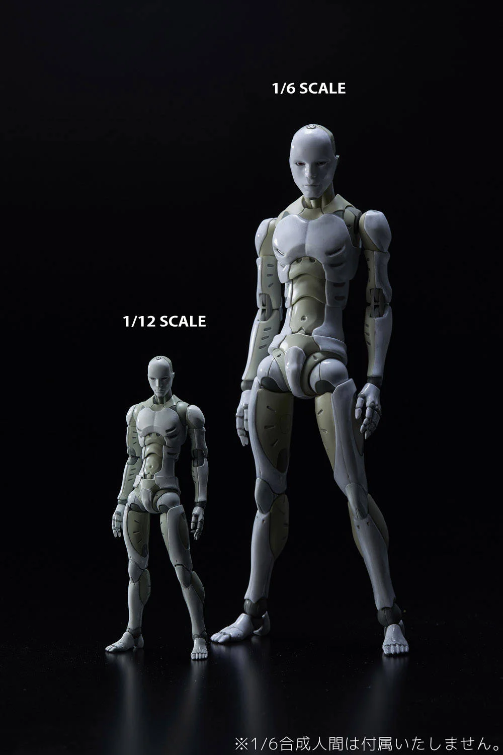 SynthHuman1:6thC.jpg