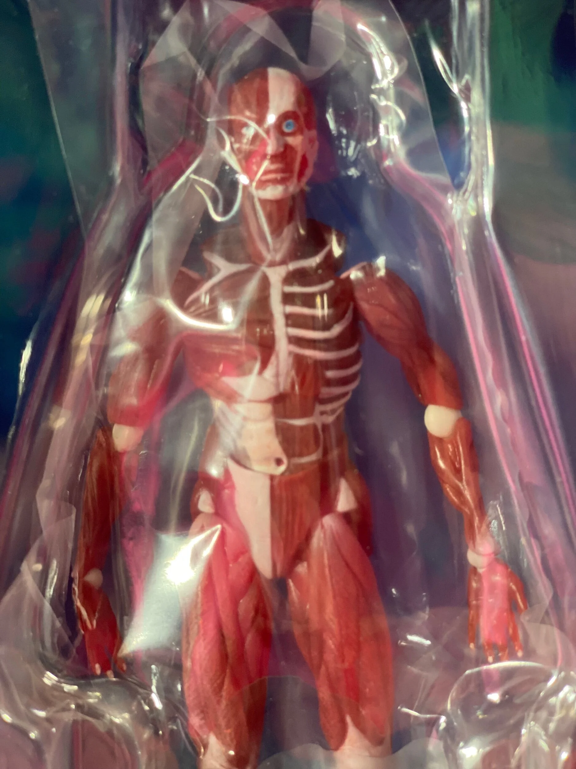 8C3A675F-3DAB-45A7-AAA8-680C014BE4A1