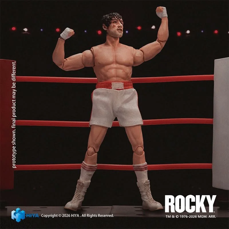 HiyaToysRockyB.jpg