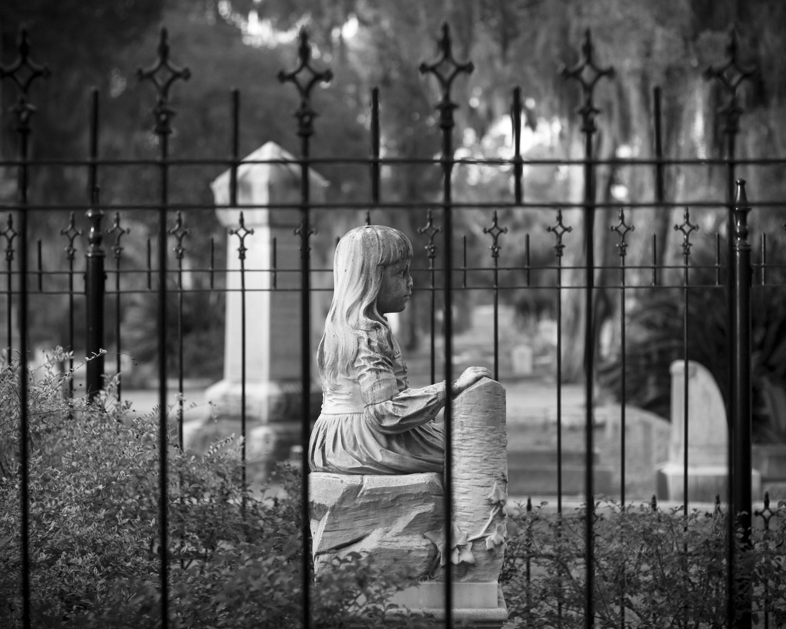 01 - fence b and w-website-size.jpg