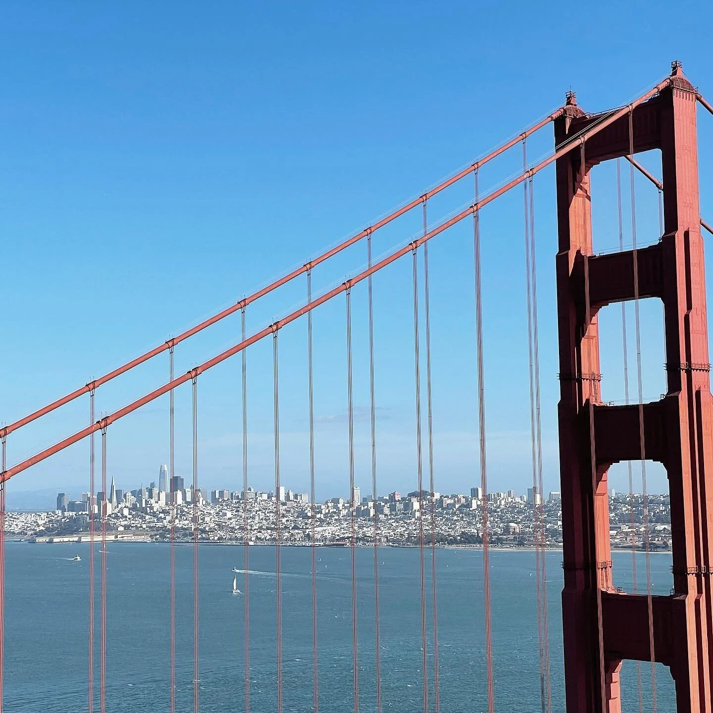 Views from the Headlands. A storied landscape that&rsquo;s rich in natural and military history. It also has the best views of the #goldengatebridge! The Bay Area is so gosh darn handsome!