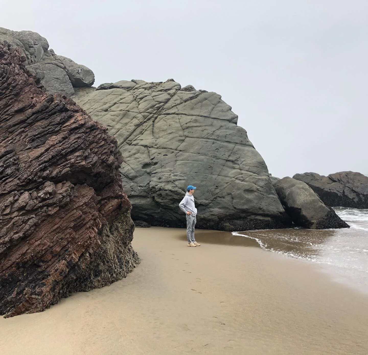 🌊🏵🐚The oceanside cliffs and beaches of the #Presidio in #SanFrancisco. A place that has seized my imagination.