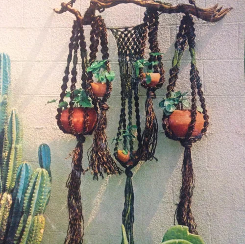 MACRAME PLANT HANGERS WITH JESSICA DELL
