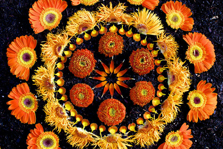 Image by Kathy Klein Flower Mandalas. 