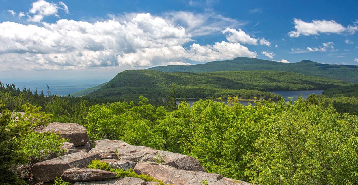 21_Catskill1_Dagis2015.jpg