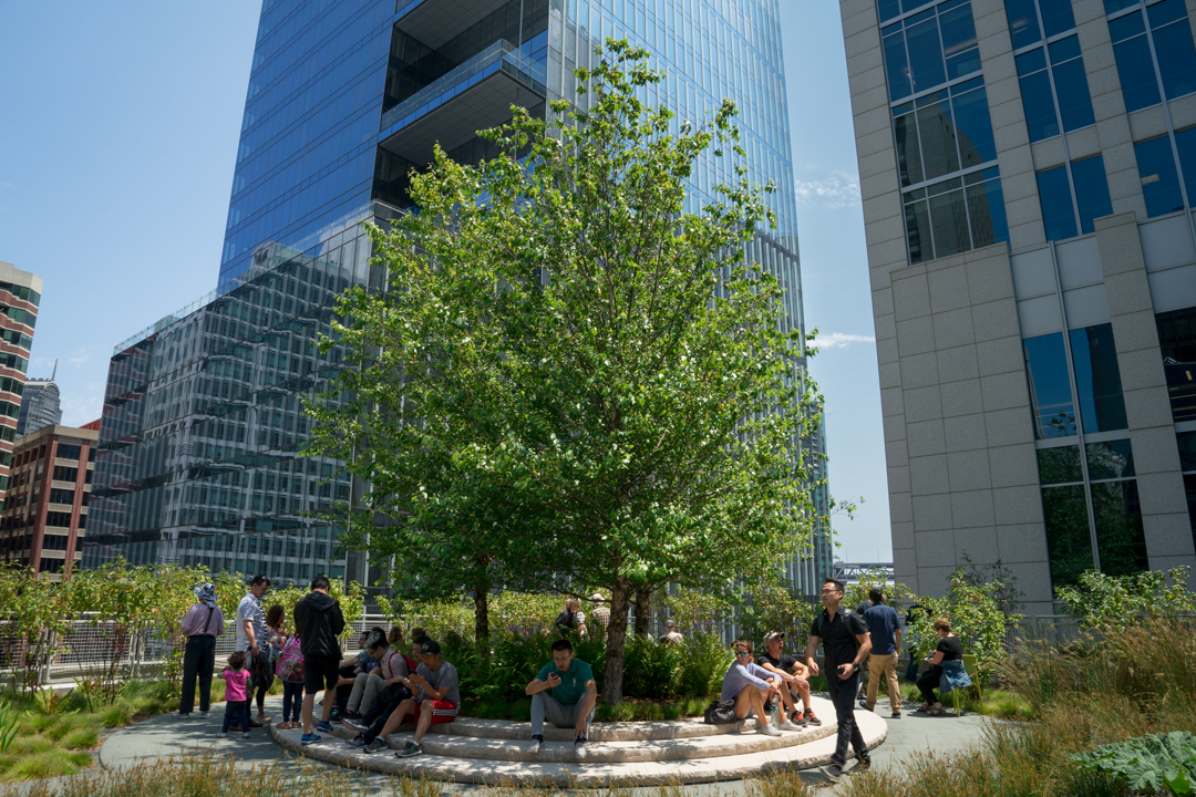 SalesforcePark(web)-42.jpg