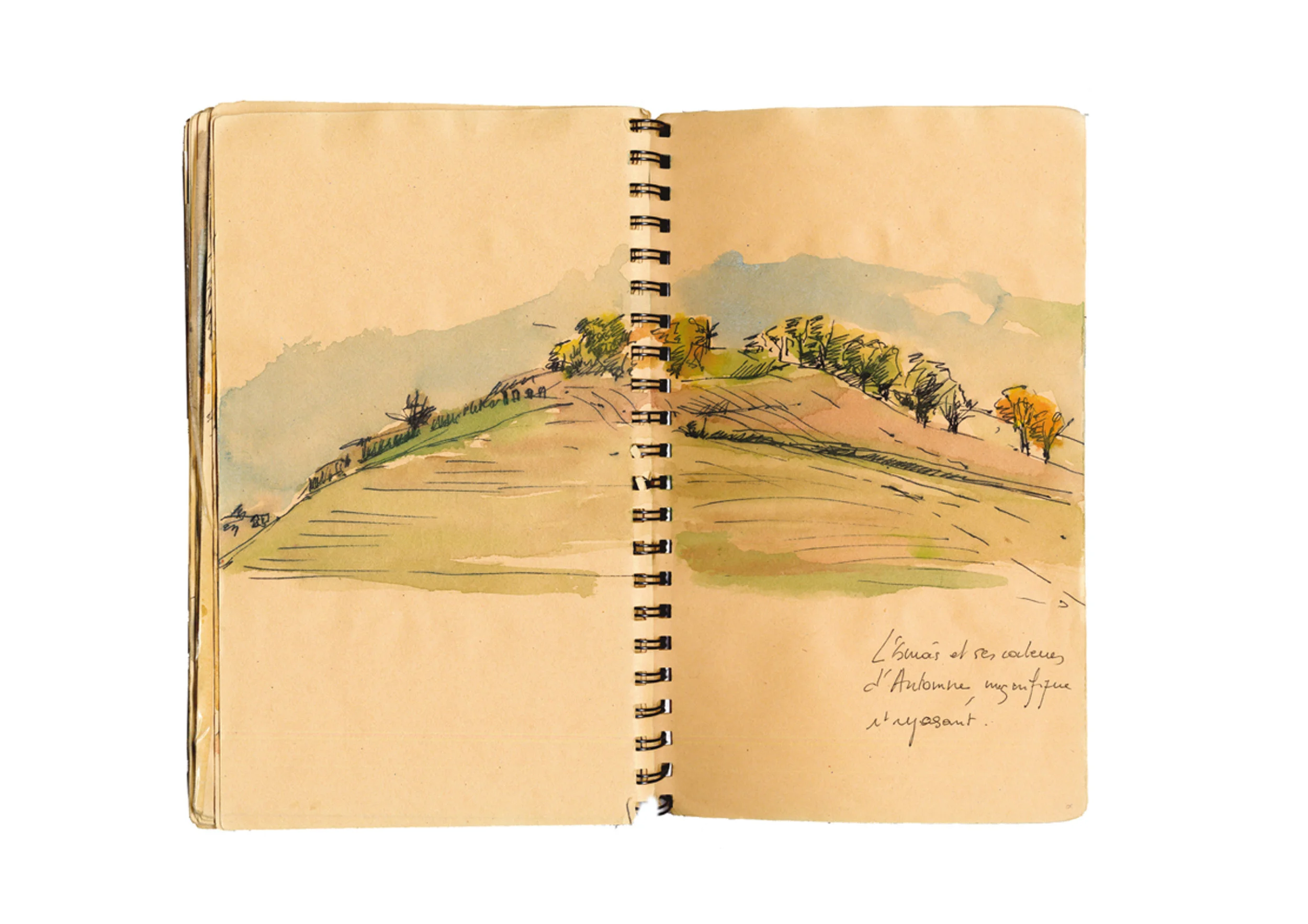 Country Side