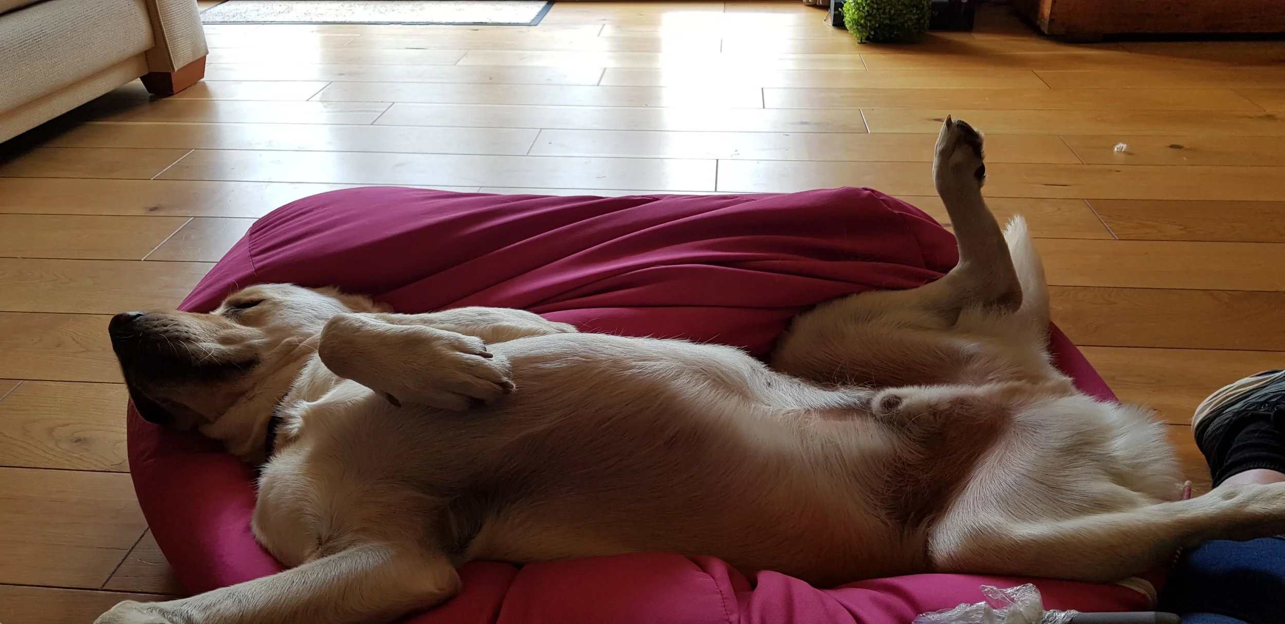 processed_20190802_091641.jpg