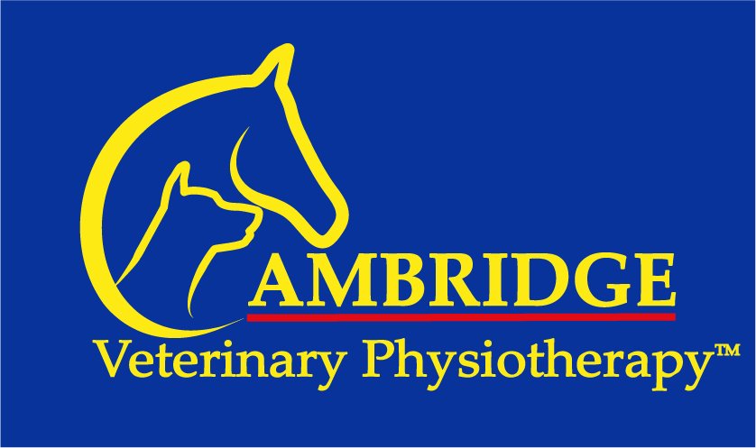 Cambridge Veterinary Physiotherapy