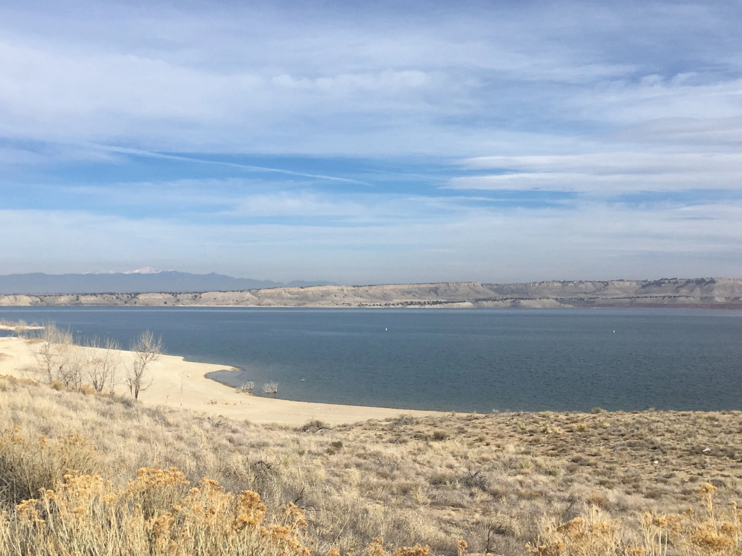 The Failures and Grievances of Bart [2024]