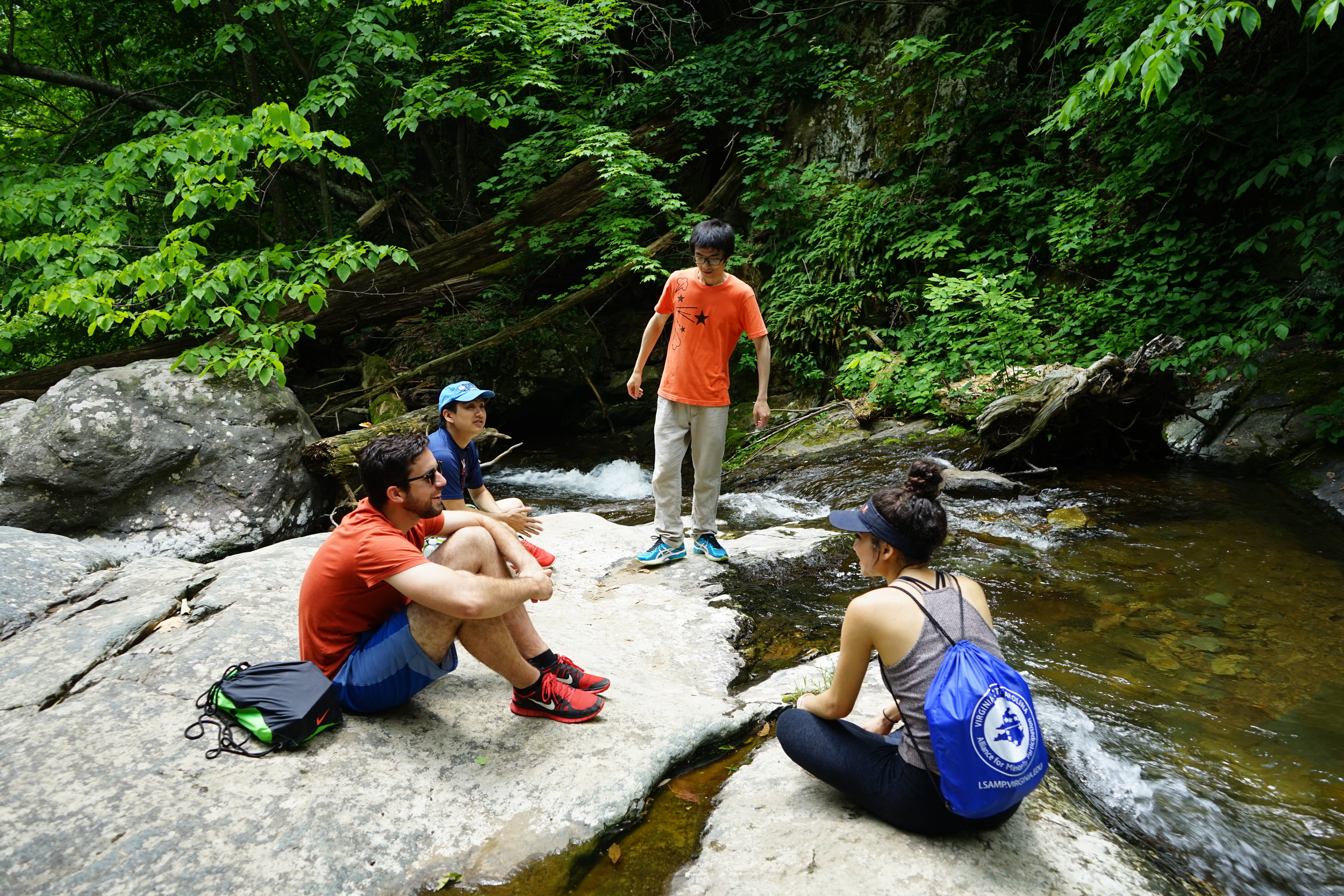 Shenandoah National Park, June 2017